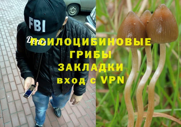 прущая мука Лабытнанги