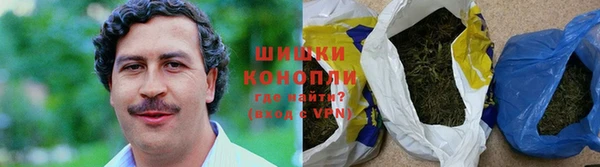 твердый Лагань