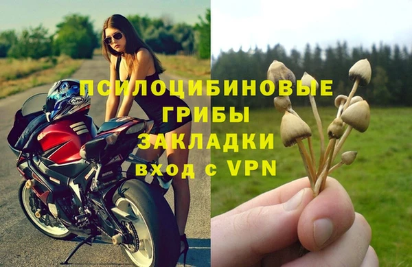 бошки Ладушкин