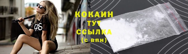 твердый Лагань