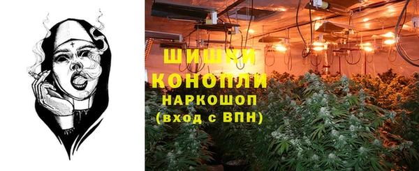 бошки Ладушкин