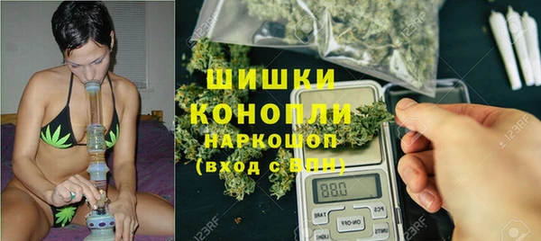 бошки Ладушкин