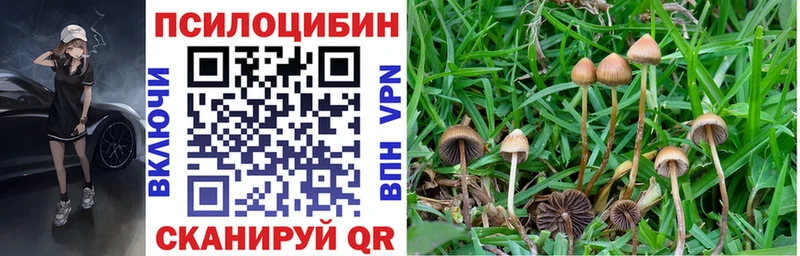 Купить  Мосальск  Псилоцибиновые грибы ЛСД 
